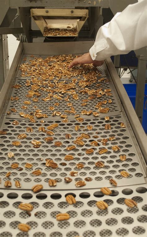 How Mascot Pecan Shelling Co. Supports Local Pecan Farms and Growers